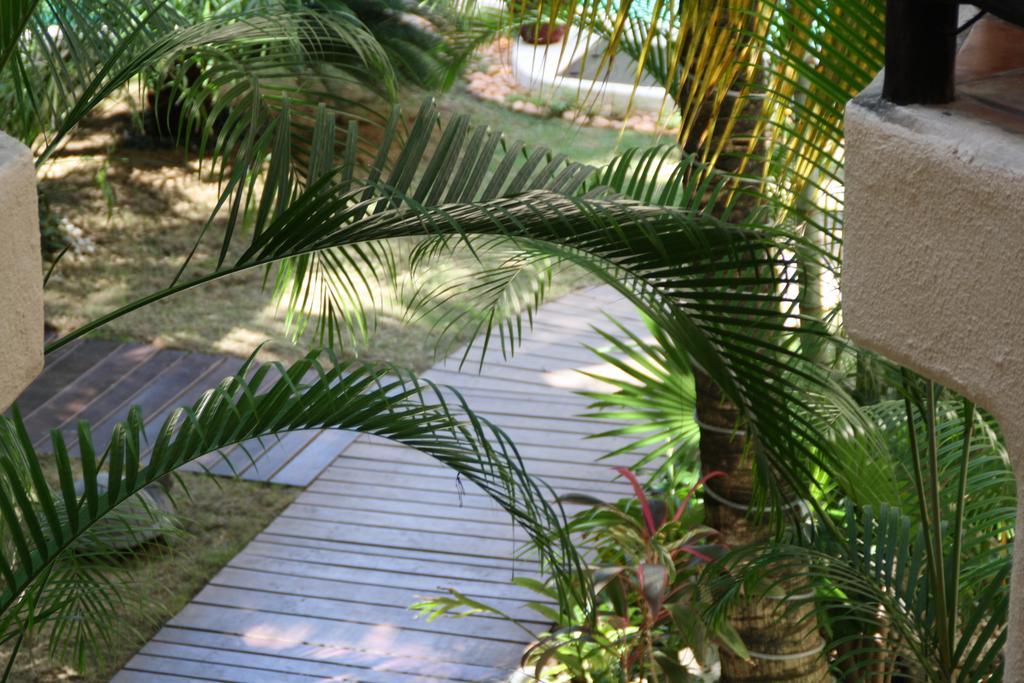 La Tortuga Hotel & Spa - Adults Only Playa del Carmen Exteriér fotografie