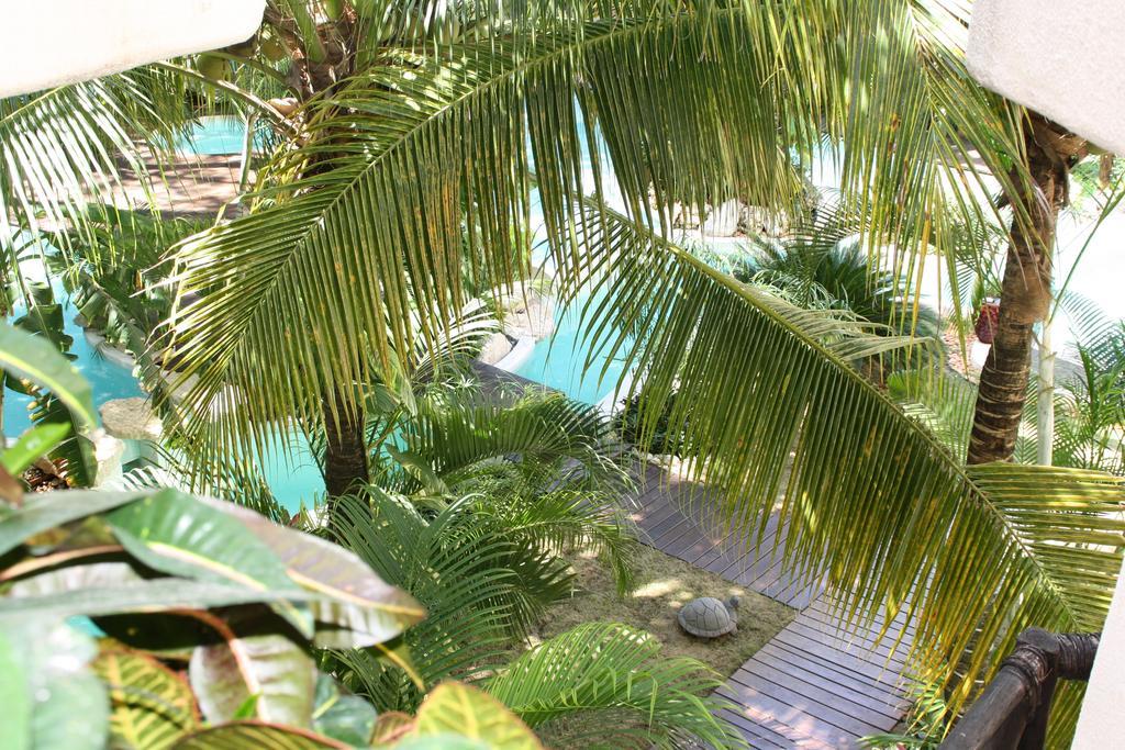 La Tortuga Hotel & Spa - Adults Only Playa del Carmen Exteriér fotografie